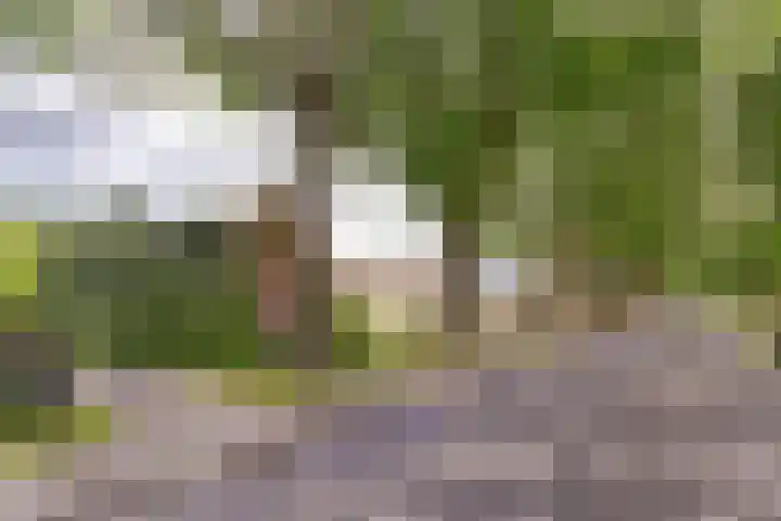 Verlengde Scholtenskanaal WZ 64 Emmer-Compascuum thumbnail 33