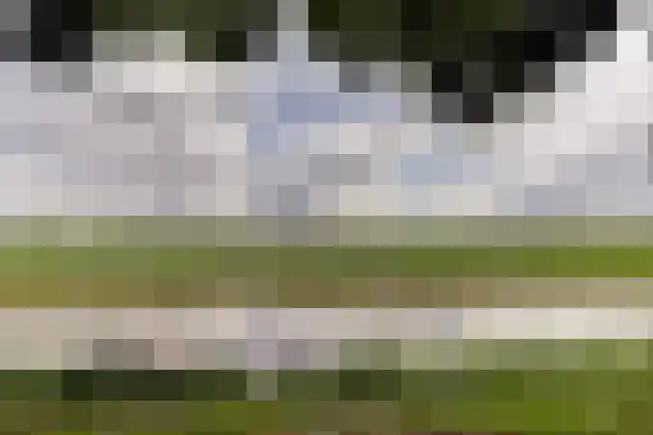 Verlengde Scholtenskanaal WZ 64 Emmer-Compascuum thumbnail 34