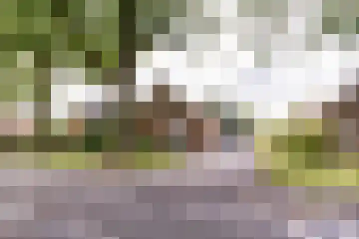 Verlengde Scholtenskanaal WZ 64 Emmer-Compascuum thumbnail 35