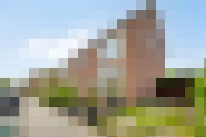 Verlengde Schoolstraat 2 Ochten thumbnail 10