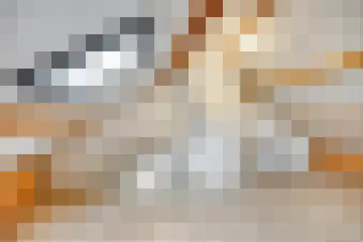 Verlengde Schoolstraat 2 Ochten thumbnail 25
