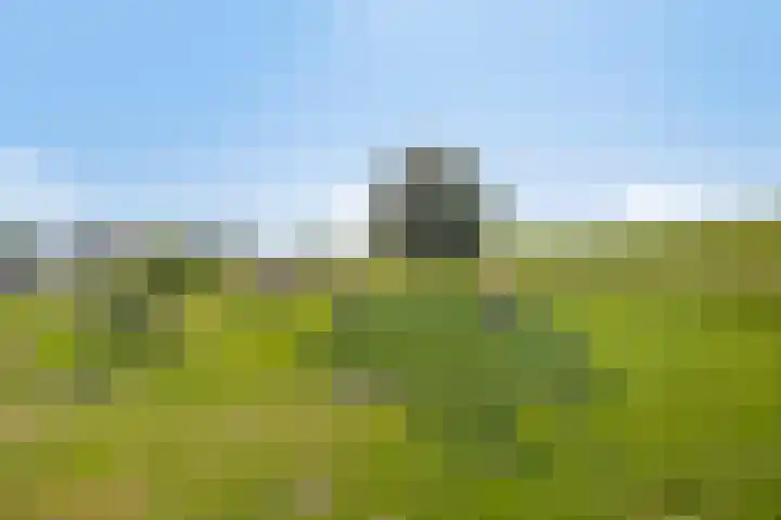 Verlengde Schoolstraat 2 Ochten thumbnail 34