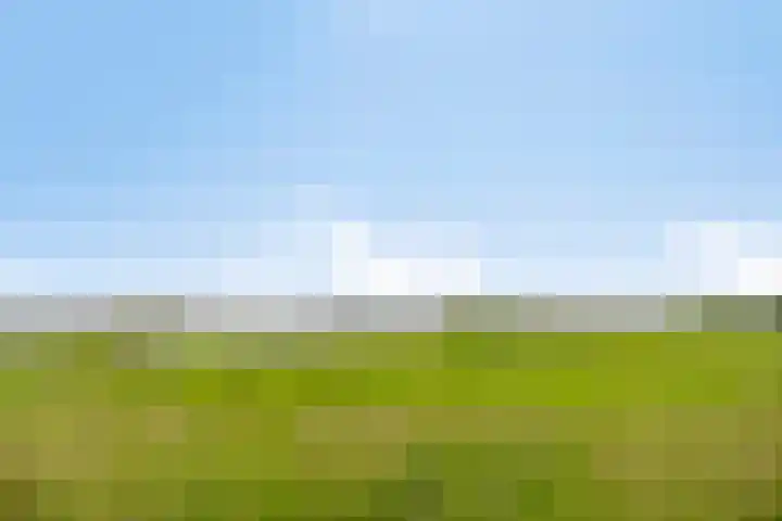 Verlengde Schoolstraat 2 Ochten thumbnail 36