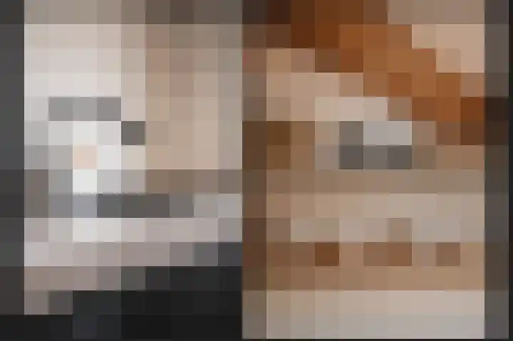 Verlengde Schoolstraat 6 Ochten thumbnail 14