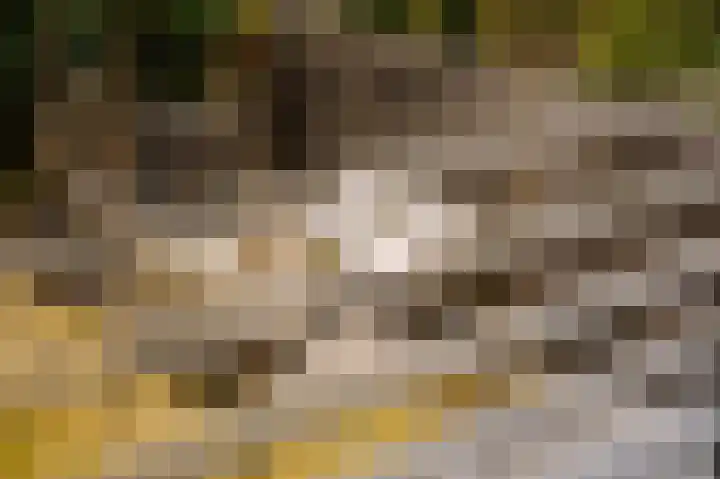 Verlengde Schoolstraat 6 Ochten thumbnail 23