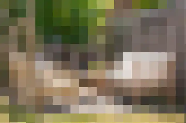 Verlengde Schoolstraat 6 Ochten thumbnail 27