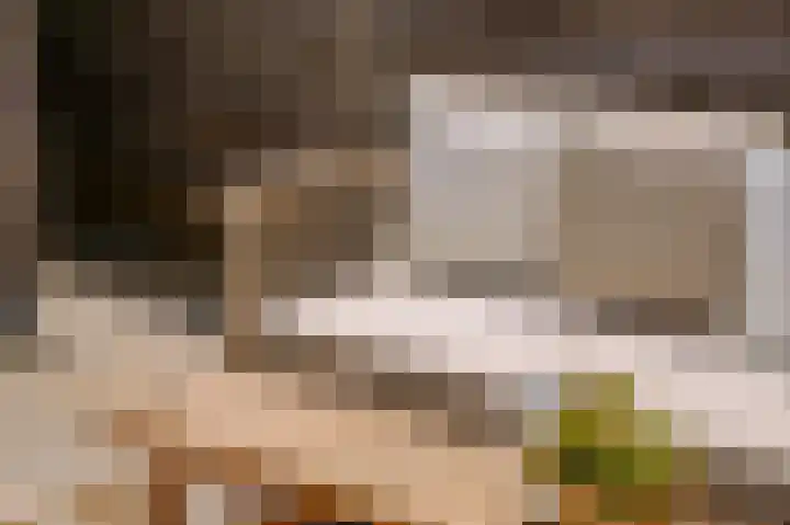 Verlengde Schoolstraat 6 Ochten thumbnail 5