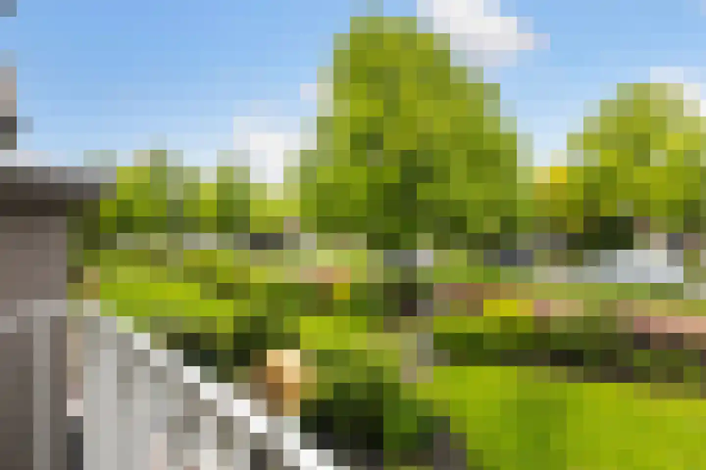 Verlengde Schrans 101 Leeuwarden thumbnail 20