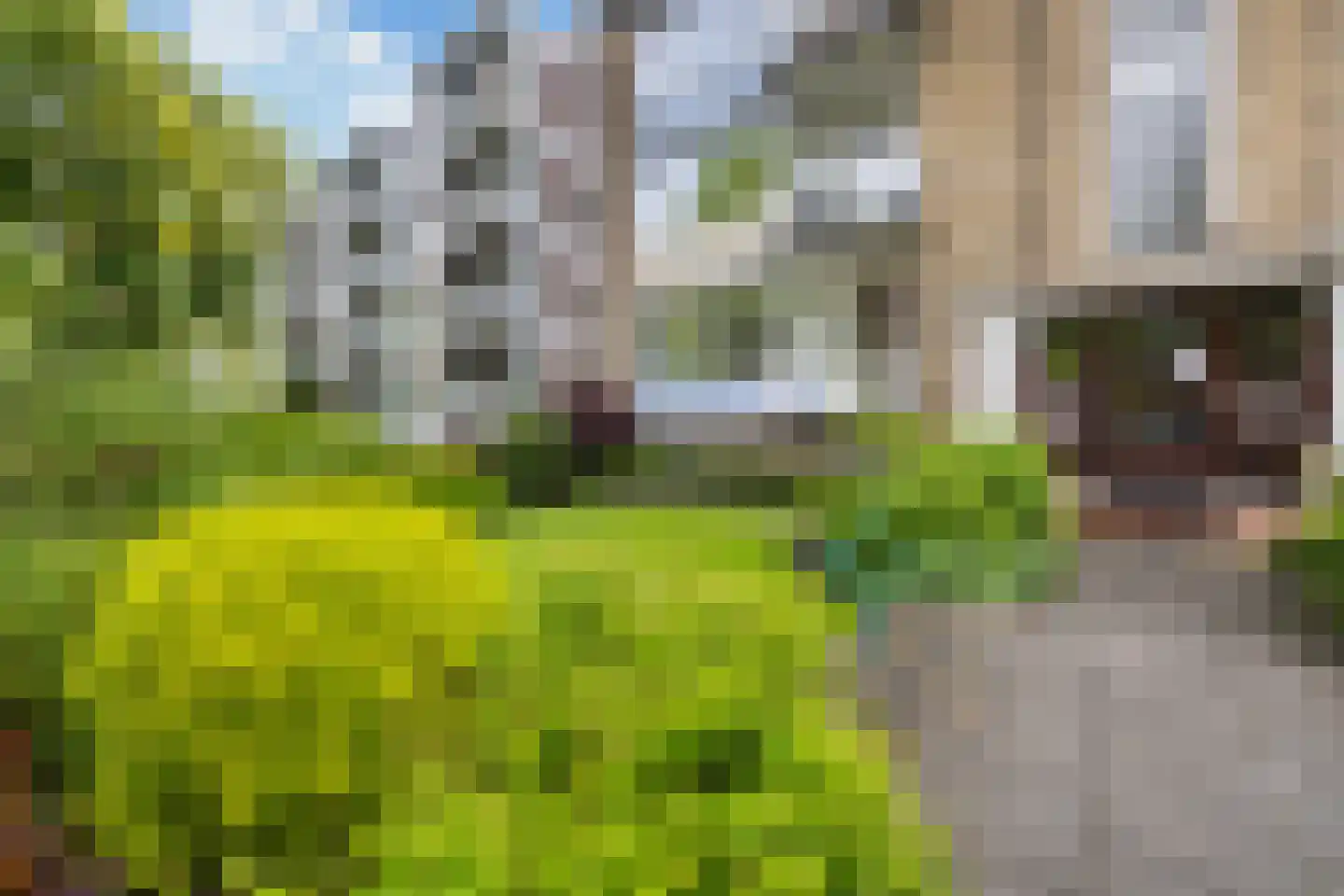 Verlengde Schrans 101 Leeuwarden thumbnail 7