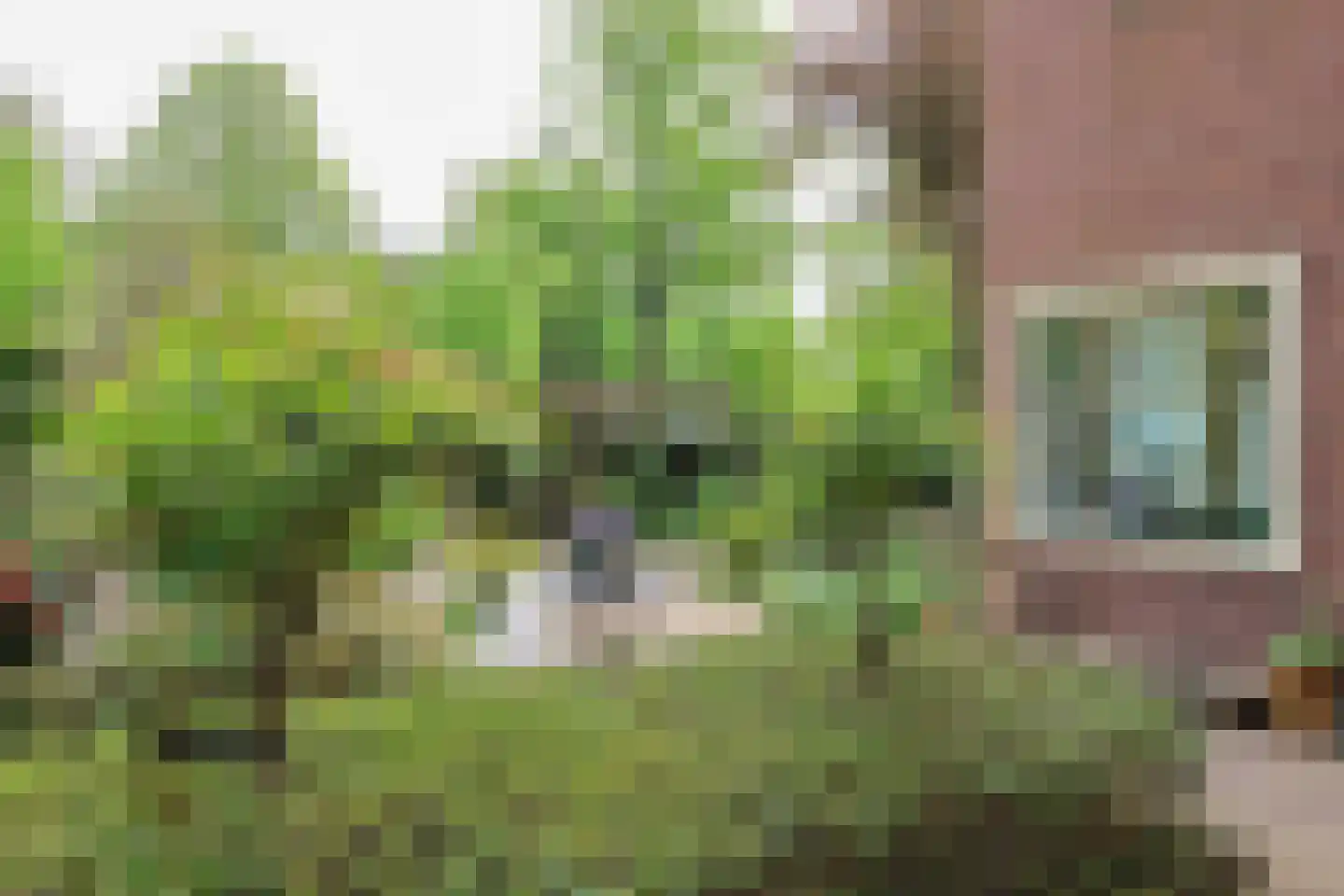 Verlengde Schrans 106 Leeuwarden thumbnail 52