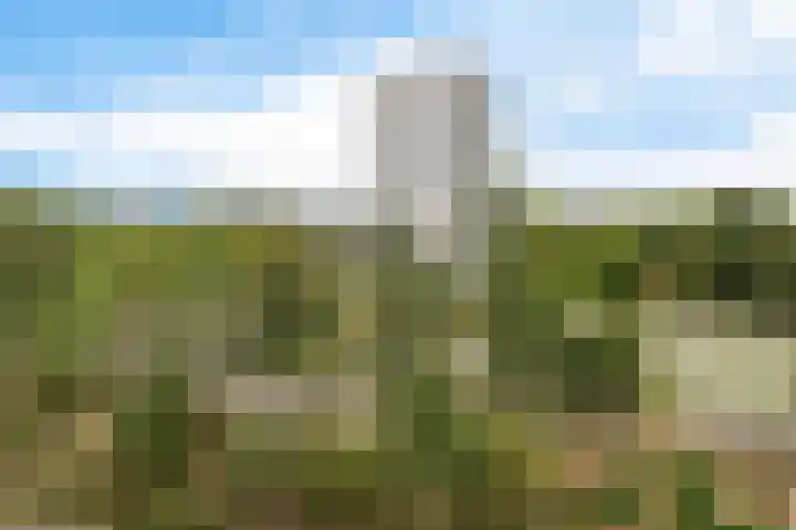 Verlengde Schrans 139 d Leeuwarden thumbnail 24