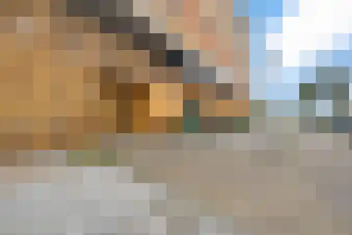 Verlengde Schrans 139 d Leeuwarden thumbnail 8