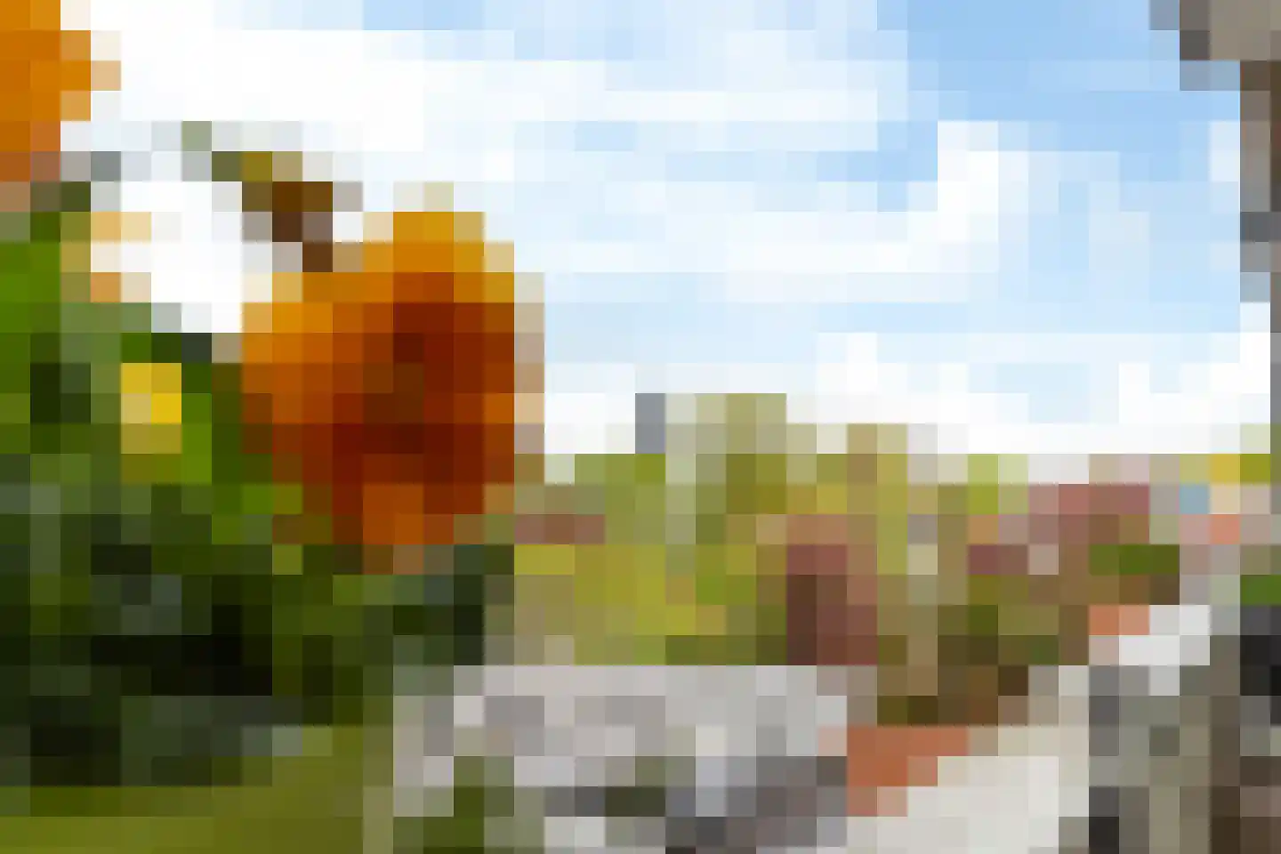 Verlengde Schrans 150 c Leeuwarden thumbnail 21