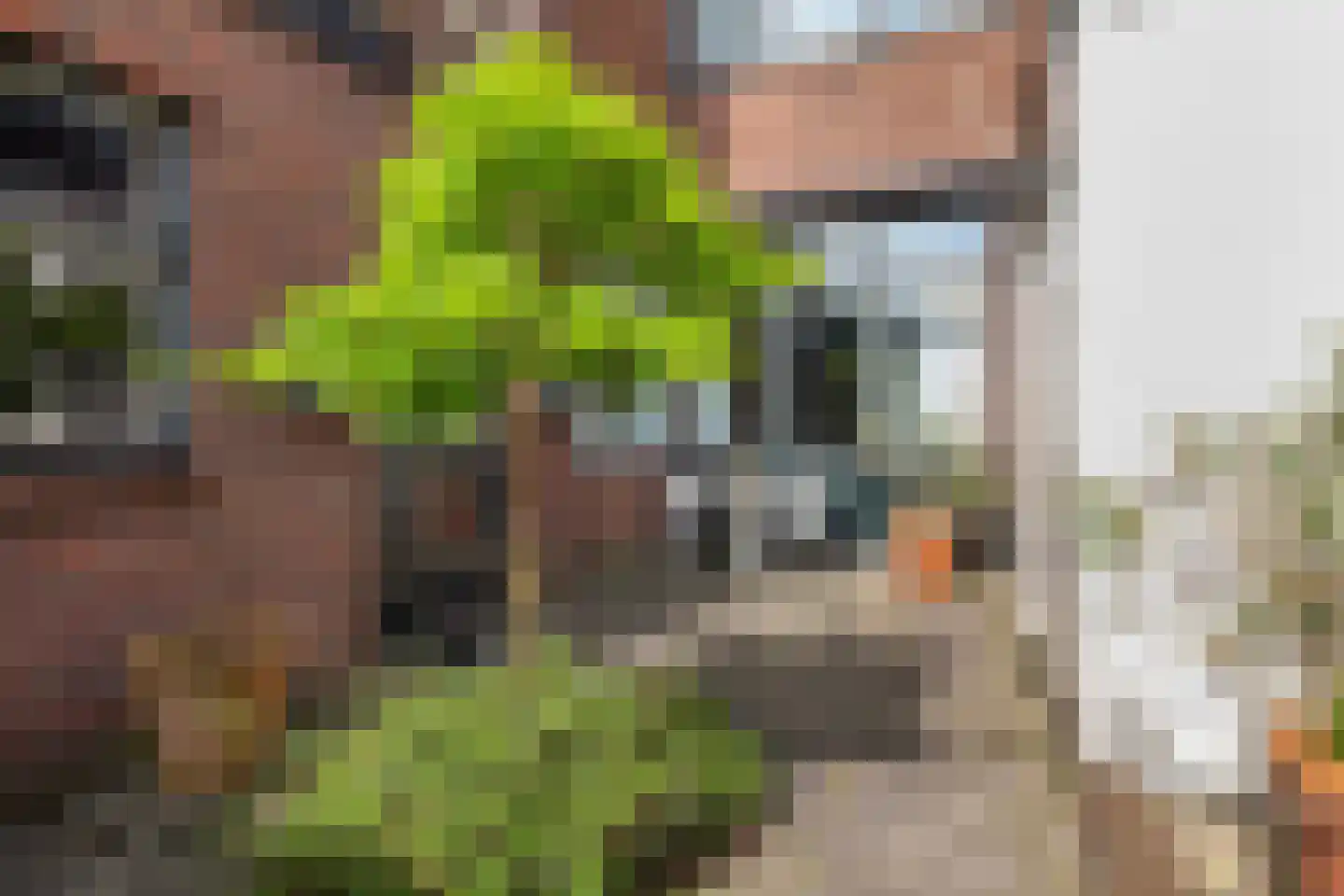 Verlengde Schrans 3 Leeuwarden thumbnail 22