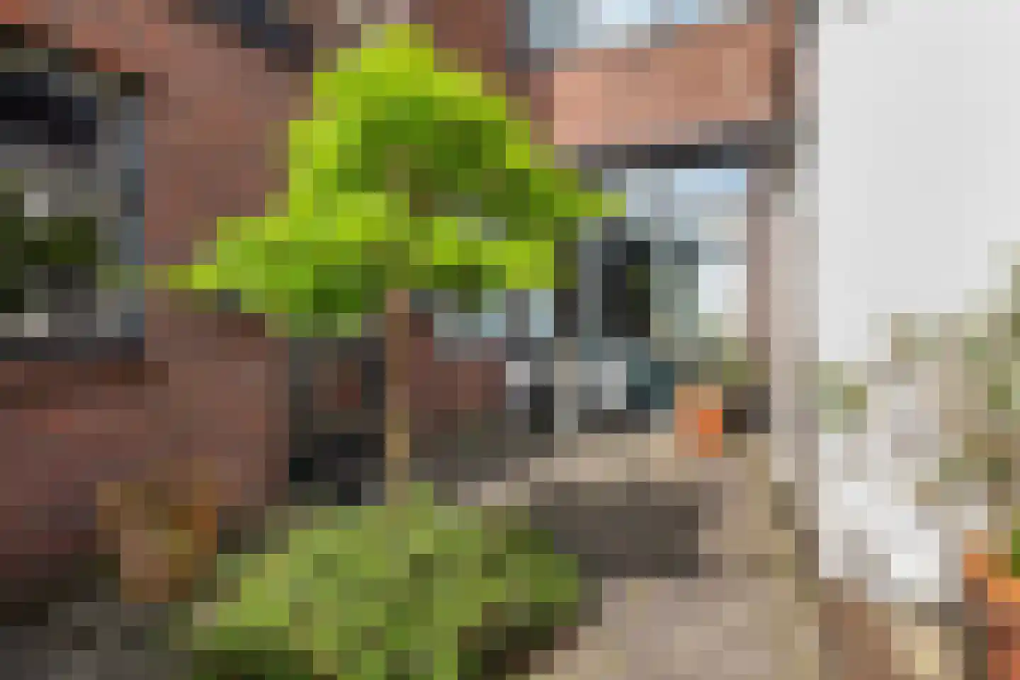 Verlengde Schrans 3 Leeuwarden thumbnail 23