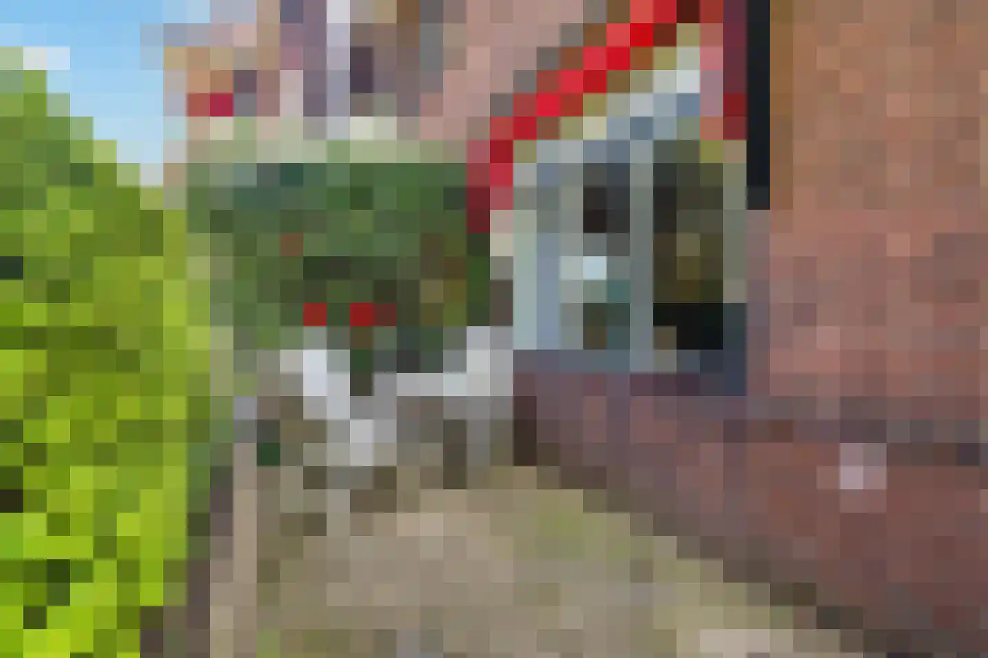 Verlengde Schrans 3 Leeuwarden thumbnail 6