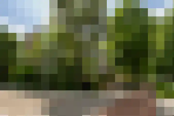 Verlengde Schrans 95 Leeuwarden thumbnail 33