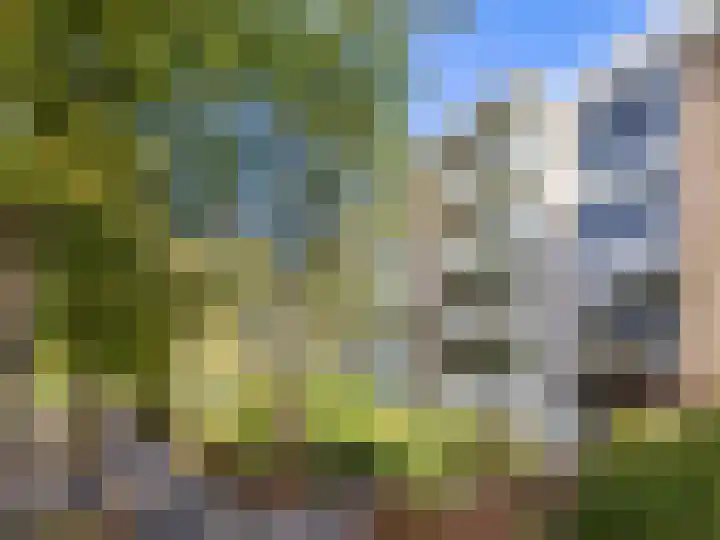 Verlengde Schrans 97 c Leeuwarden thumbnail 6