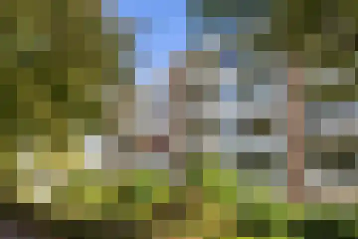 Verlengde Schrans 97 c Leeuwarden thumbnail 7