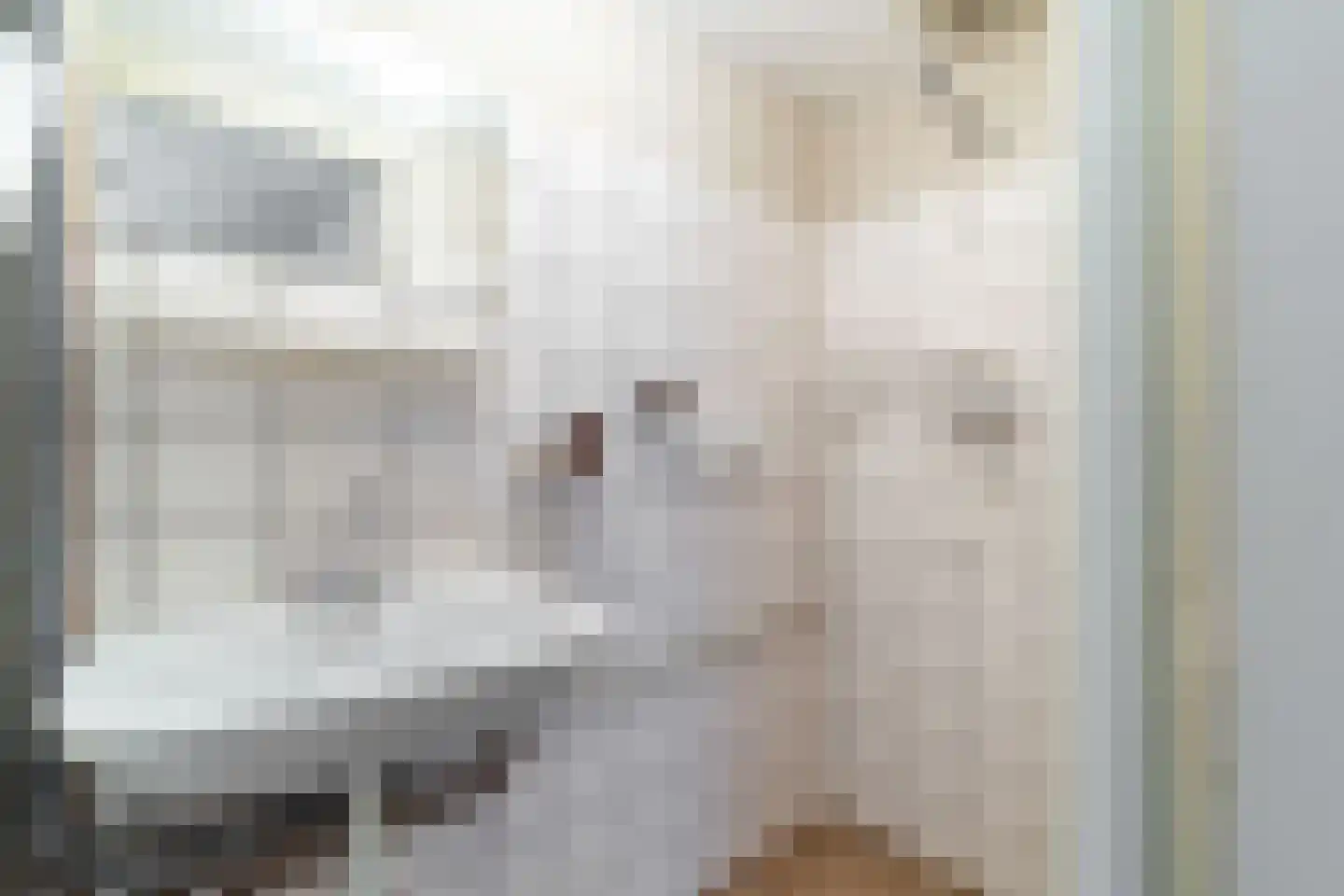 Verlengde Singelstraat 38 Delft thumbnail 20
