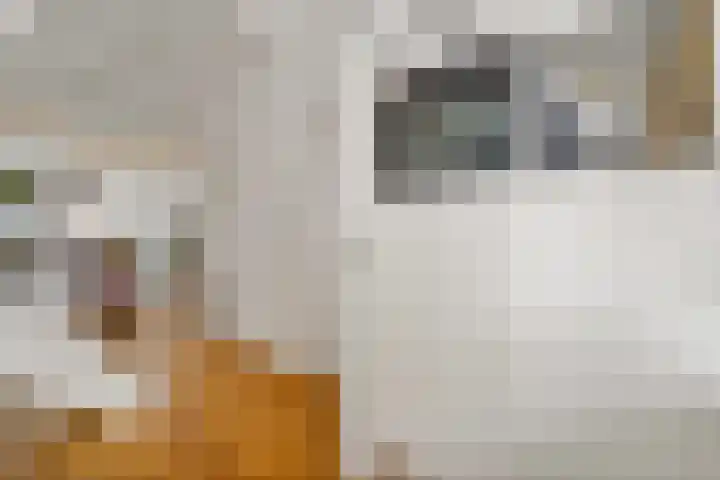 Verlengde Singelstraat 59 Delft thumbnail 7