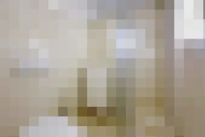 Verlengde Slotlaan 11 Zeist thumbnail 15