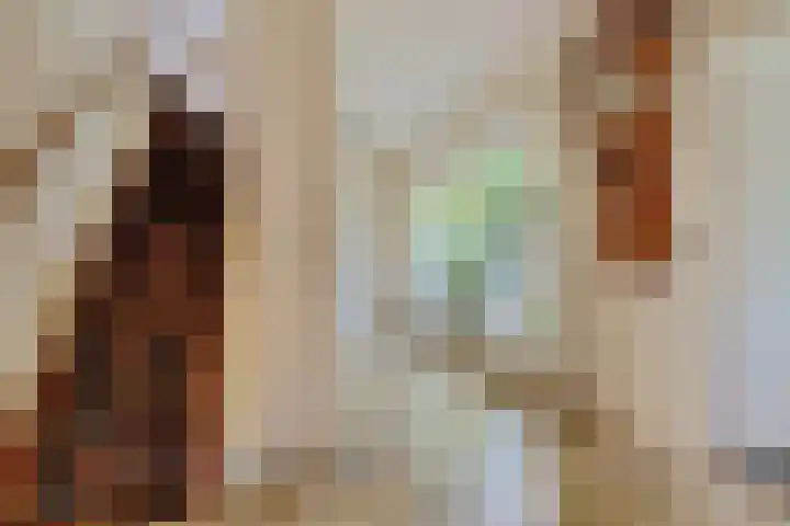 Verlengde Slotlaan 11 Zeist thumbnail 16