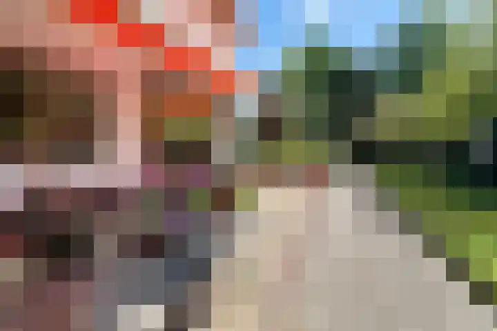 Verlengde Slotlaan 11 Zeist thumbnail 29
