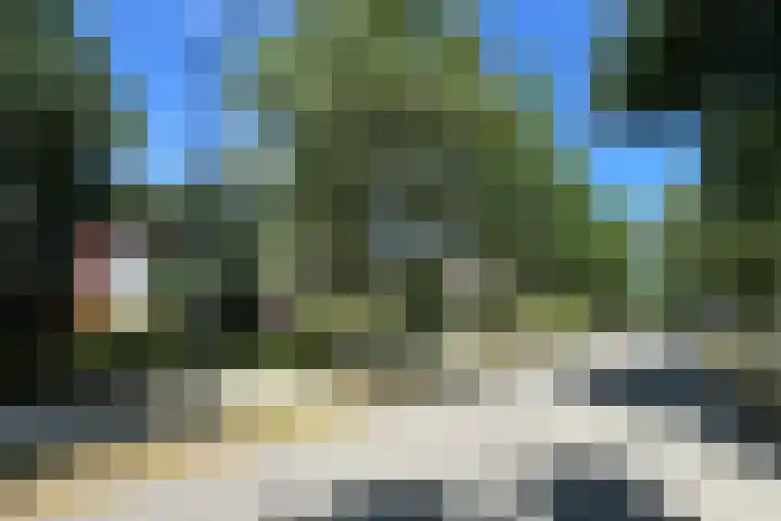 Verlengde Slotlaan 11 Zeist foto 3