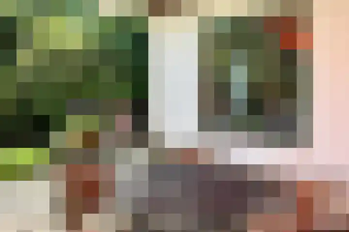 Verlengde Slotlaan 11 Zeist thumbnail 31