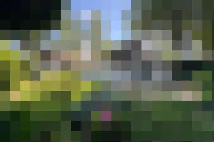 Verlengde Slotlaan 11 Zeist thumbnail 32