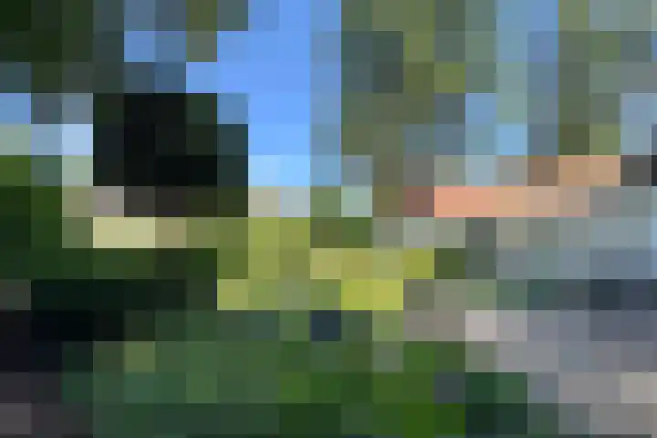 Verlengde Slotlaan 11 Zeist thumbnail 33