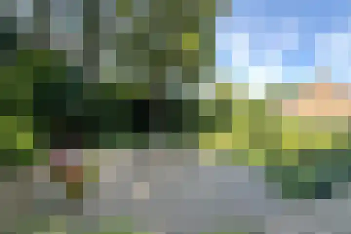 Verlengde Slotlaan 11 Zeist thumbnail 34