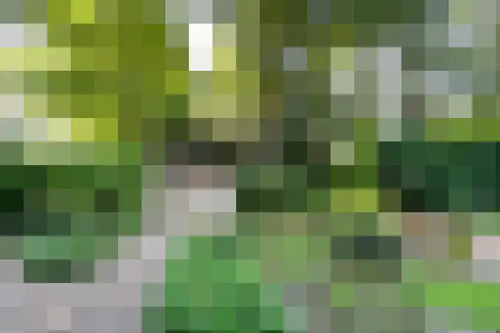 Verlengde Slotlaan 11 Zeist thumbnail 35