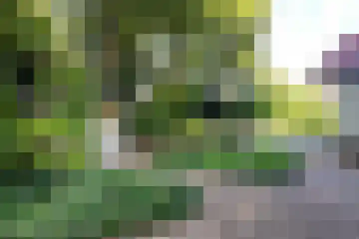 Verlengde Slotlaan 11 Zeist thumbnail 36