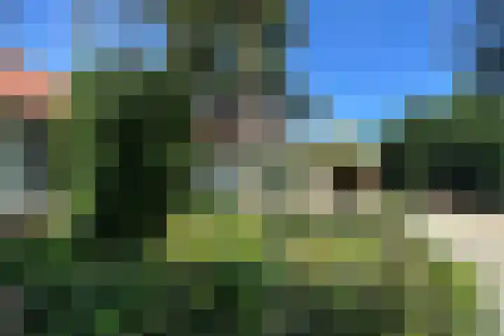 Verlengde Slotlaan 11 Zeist thumbnail 37