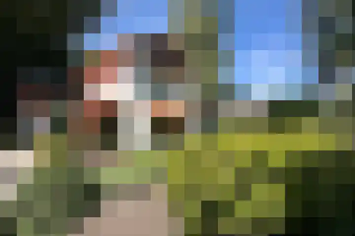 Verlengde Slotlaan 11 Zeist thumbnail 39