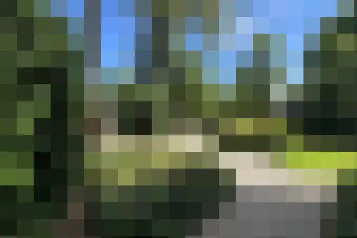 Verlengde Slotlaan 11 Zeist thumbnail 4