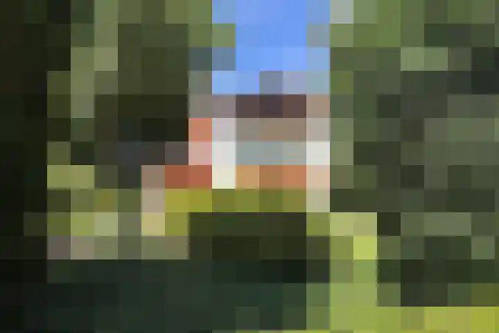 Verlengde Slotlaan 11 Zeist thumbnail 40
