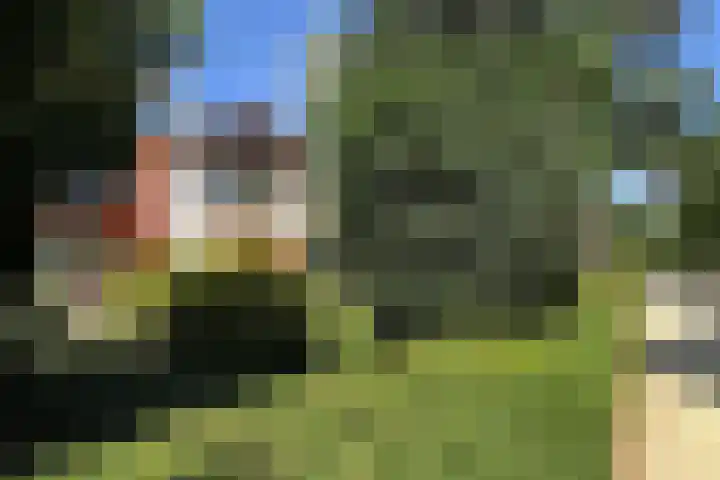 Verlengde Slotlaan 11 Zeist thumbnail 41