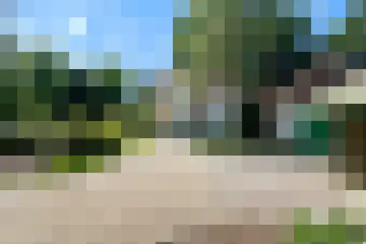 Verlengde Slotlaan 11 Zeist thumbnail 44