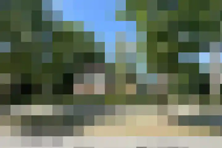 Verlengde Slotlaan 11 Zeist thumbnail 45