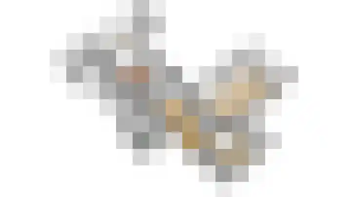 Verlengde Slotlaan 11 Zeist thumbnail 50