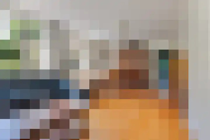 Verlengde Slotlaan 11 Zeist thumbnail 9