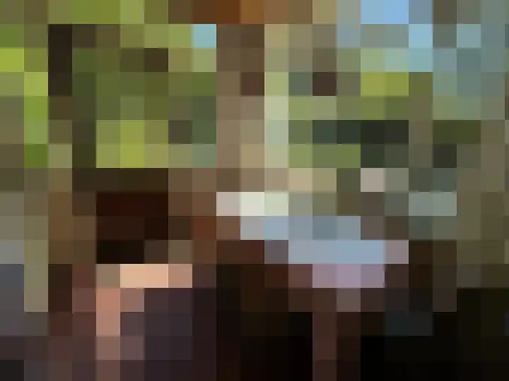 Verlengde Slotlaan 28 Zeist thumbnail 13