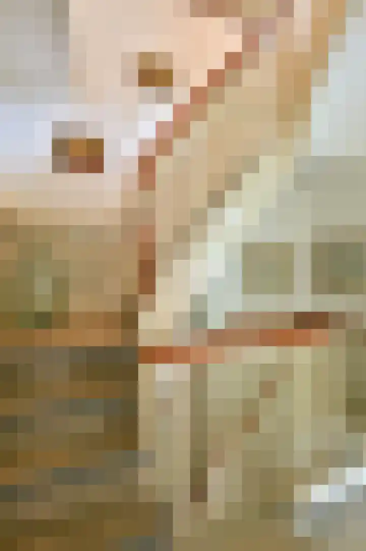 Verlengde Slotlaan 28 Zeist thumbnail 15