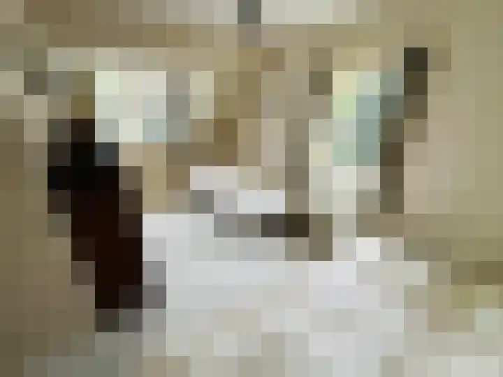 Verlengde Slotlaan 28 Zeist thumbnail 19