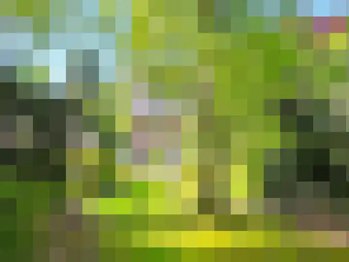 Verlengde Slotlaan 28 Zeist thumbnail 21