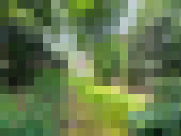 Verlengde Slotlaan 28 Zeist thumbnail 22