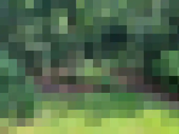 Verlengde Slotlaan 28 Zeist thumbnail 23